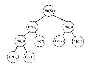 Fib1.JPG